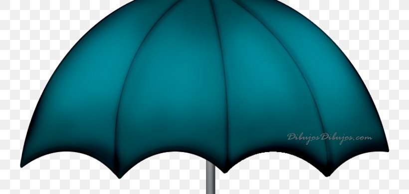 Rain Umbrella Wellington Boot, PNG, 742x389px, Rain, Aqua, Aqua Multiespacio, Boot, Cap Download Free