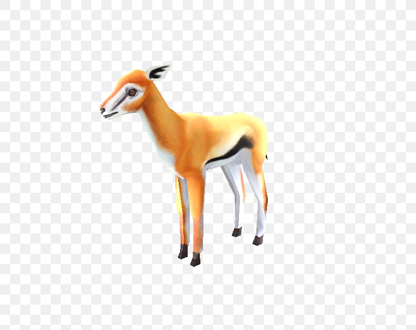 Springbok Impala Gazelle Terrestrial Animal Snout, PNG, 750x650px, Springbok, Animal, Animal Figure, Antelope, Chevrolet Impala Download Free
