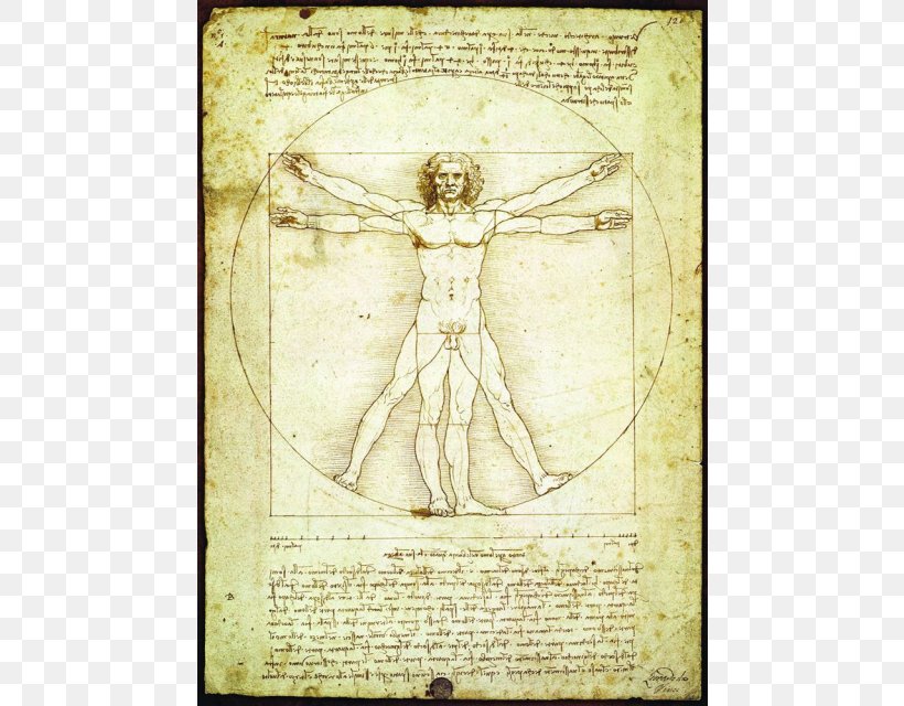 Vitruvian Man Renaissance Annunciation Drawing Art, PNG, 640x640px, Vitruvian Man, Anatomy, Annunciation, Architect, Art Download Free
