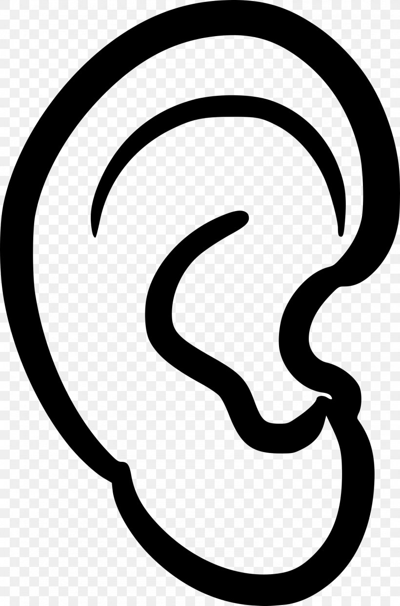 Ear Anatomy Clip Art, PNG, 1587x2400px, Ear, Area, Artwork, Black And White, Ear Anatomy Download Free