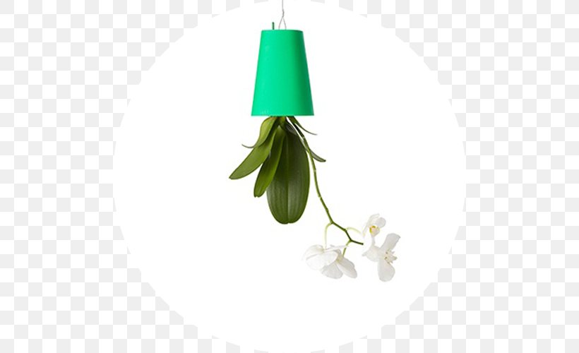 Flowerpot Plant Green Cachepot Ceramic, PNG, 500x500px, Flowerpot, Cachepot, Ceramic, Chlorophytum Comosum, Cut Flowers Download Free