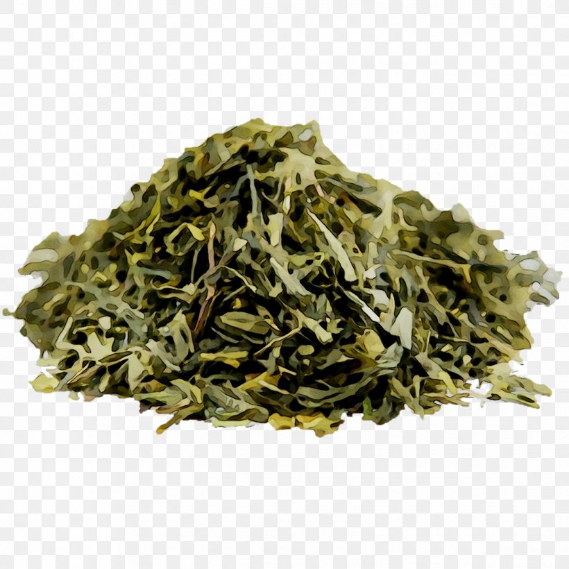 Nilgiri Tea Golden Monkey Tea Bancha Gyokuro, PNG, 1120x1120px, 2019 Audi Q7, Nilgiri Tea, Audi Q7, Bancha, Dongfang Meiren Download Free