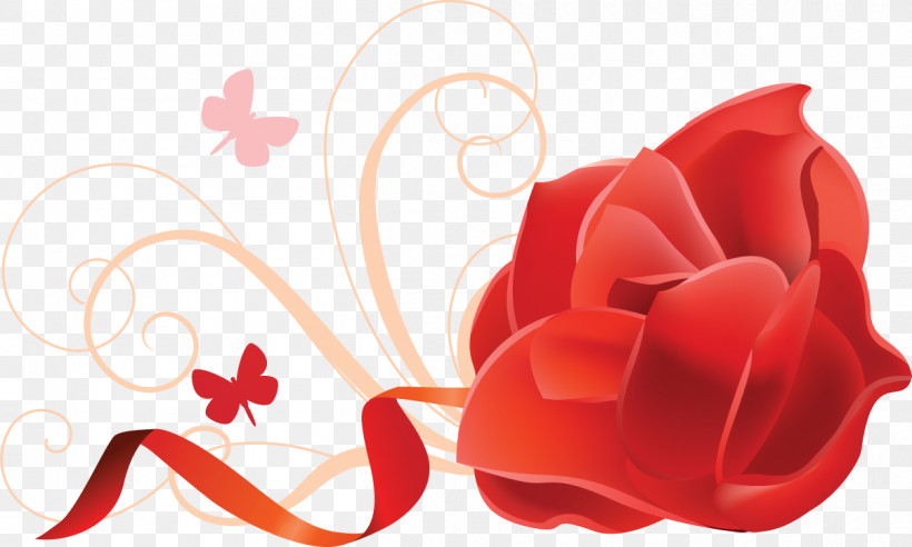 One Flower One Rose Valentines Day, PNG, 1206x725px, One Flower, Carmine, Flower, Garden Roses, Love Download Free