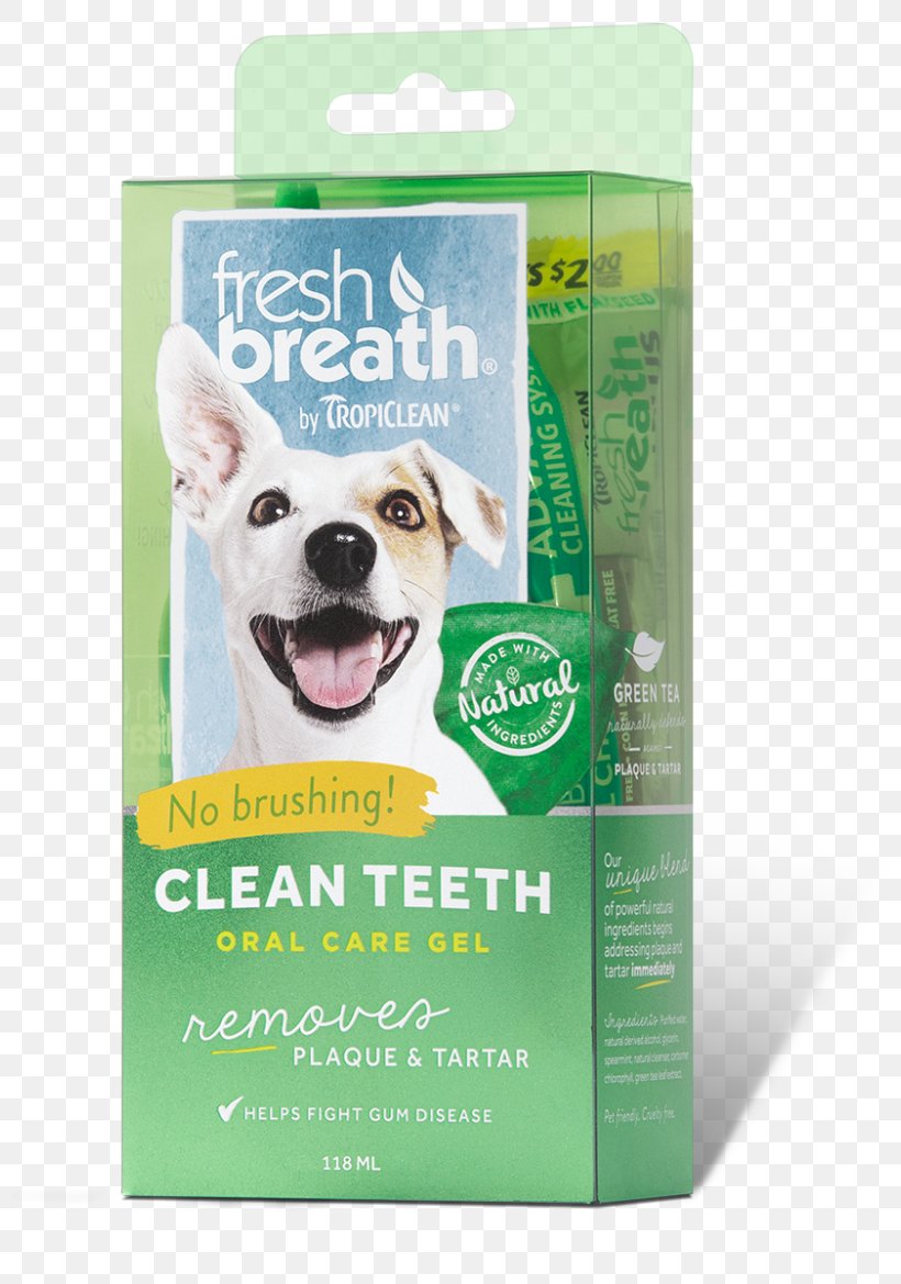 Teeth Cleaning Tooth Brushing Dental Calculus Cat Dog, PNG, 800x1169px, Teeth Cleaning, Cat, Dental Calculus, Dental Plaque, Dentistry Download Free