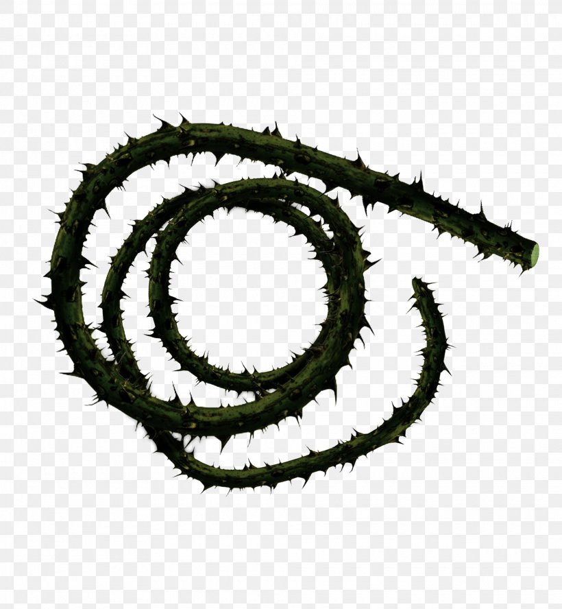 Whip Corpse Carrier Thorns, Spines, And Prickles Weapon Vine, PNG, 1920x2080px, Whip, Chain, Chain Whip, Combat, Hardware Accessory Download Free