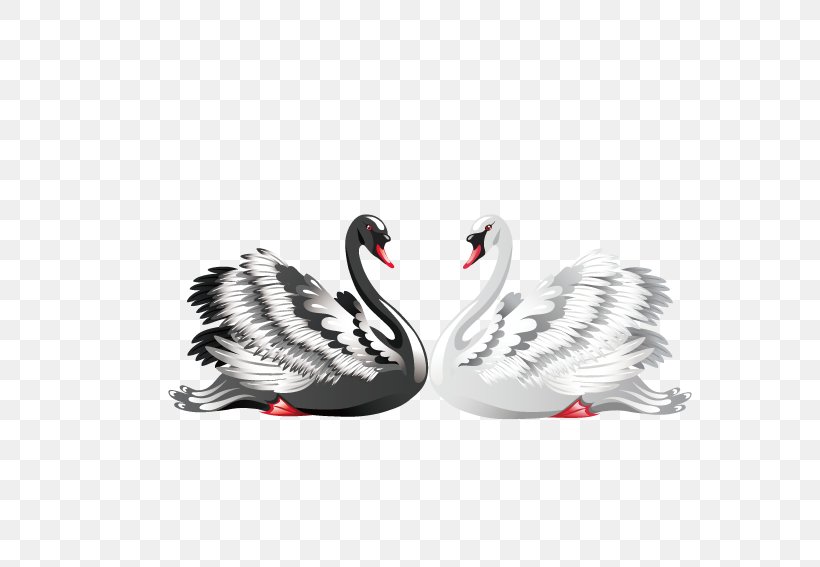 Swan Royalty-free Clip Art, PNG, Swan, Beak, Bird, Black And White, Cygnini