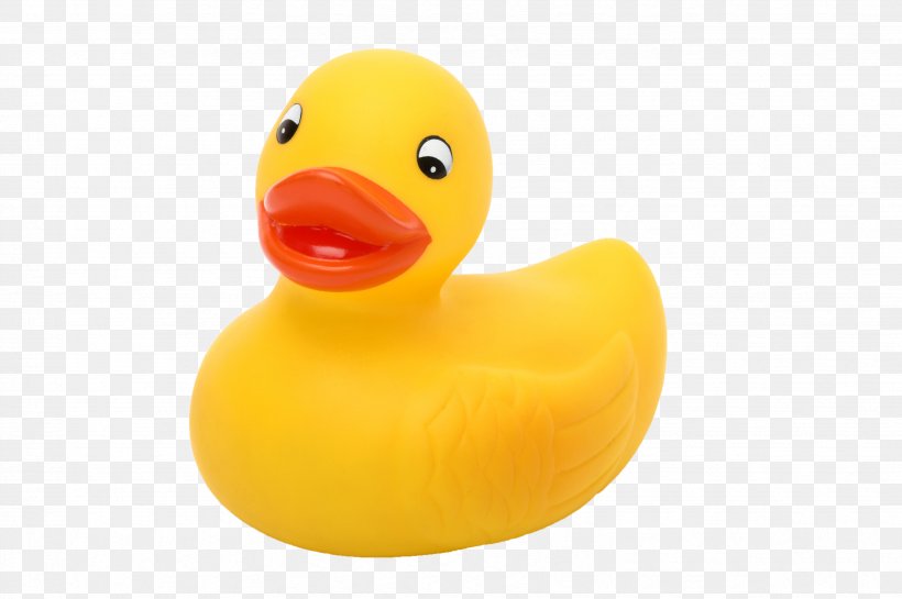 Duck Product Design Toy, PNG, 3471x2311px, Duck, Beak, Bird, Ducks Geese And Swans, Toy Download Free