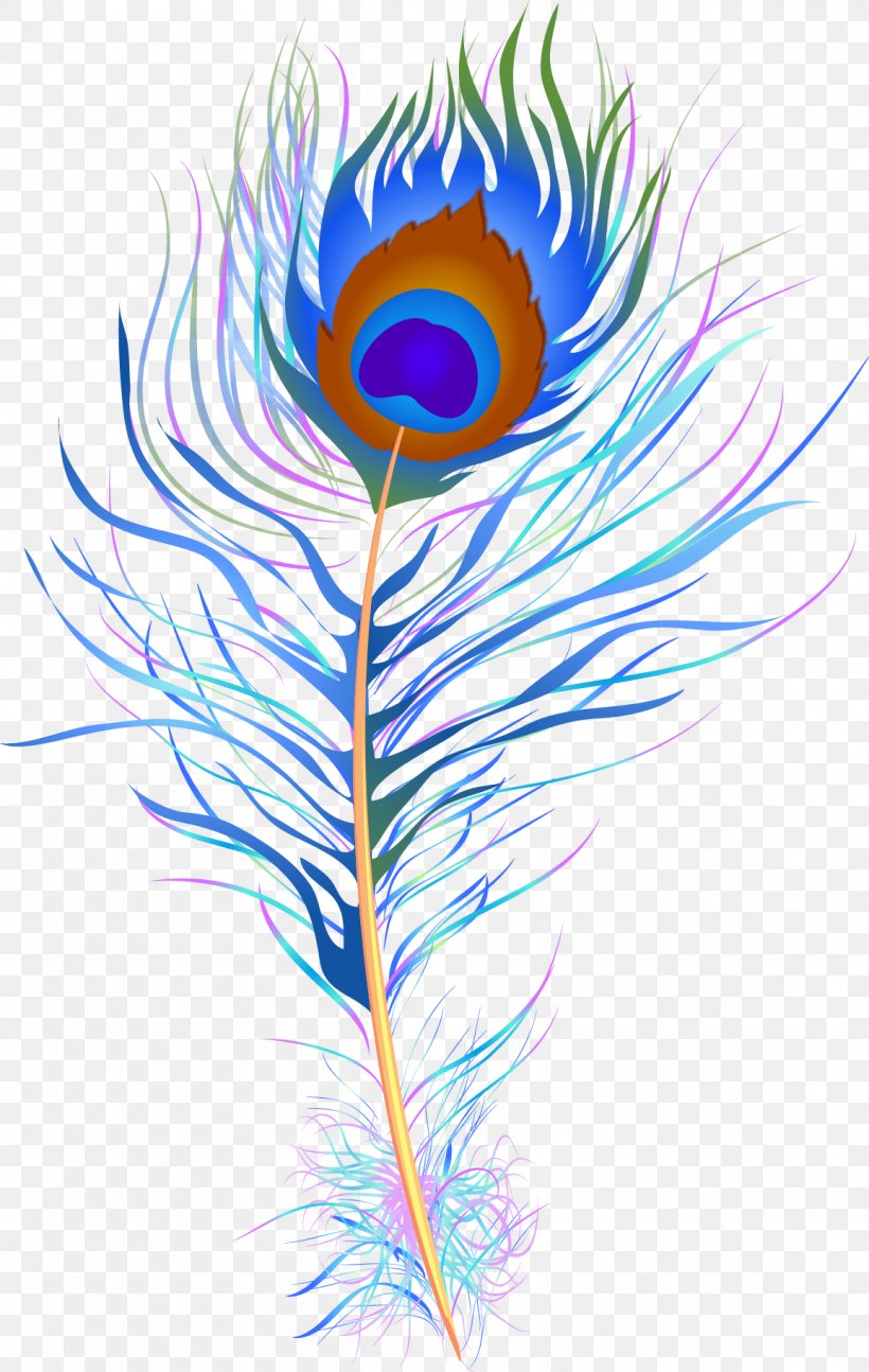 Feather Watercolor Painting Peafowl Clip Art, PNG, 1155x1824px, Feather, Asiatic Peafowl, Color, Drawing, Flower Download Free