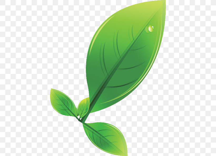Leaf Green Plants Plant Structure Biology, PNG, 440x591px, Leaf, Biology, Green, Plant Structure, Plants Download Free