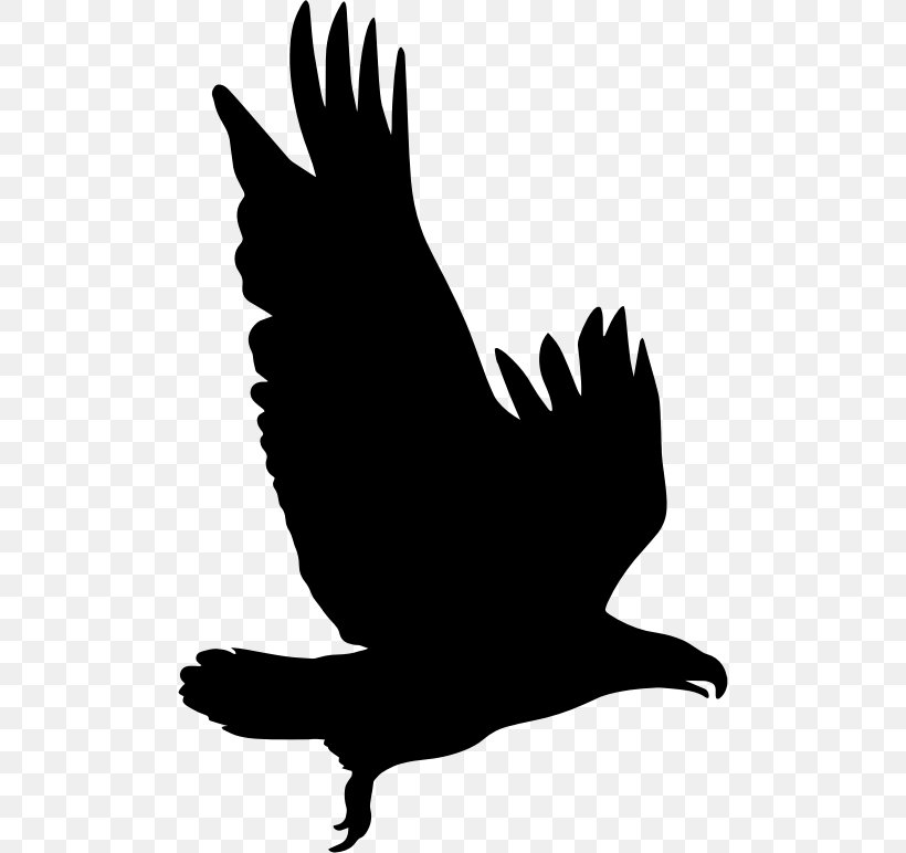 Bird Silhouette Eagle Clip Art, PNG, 498x772px, Bird, Animal, Beak, Black And White, Chicken Download Free