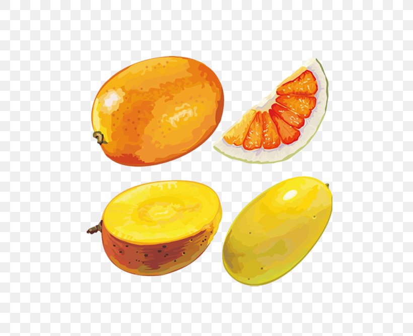 Cantaloupe Fruit Hami Melon, PNG, 500x666px, Cantaloupe, Food, Fruit, Hami Melon, Melon Download Free