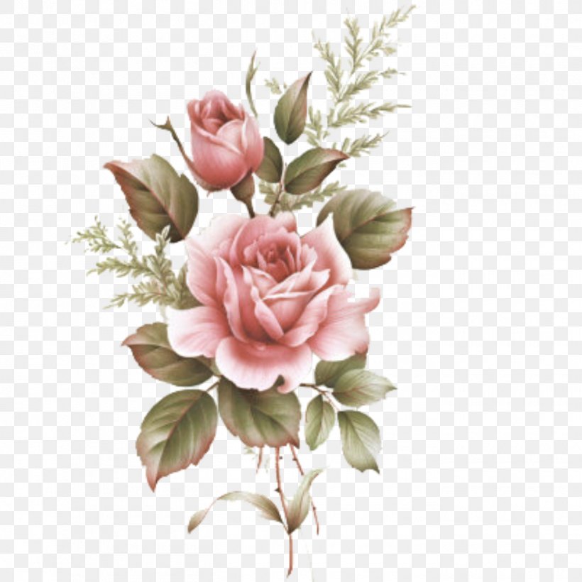 Flower Drawings Rose Illustration Image, PNG, 1350x1350px, Drawing, Art, Artificial Flower, Botanical Illustration, Botany Download Free