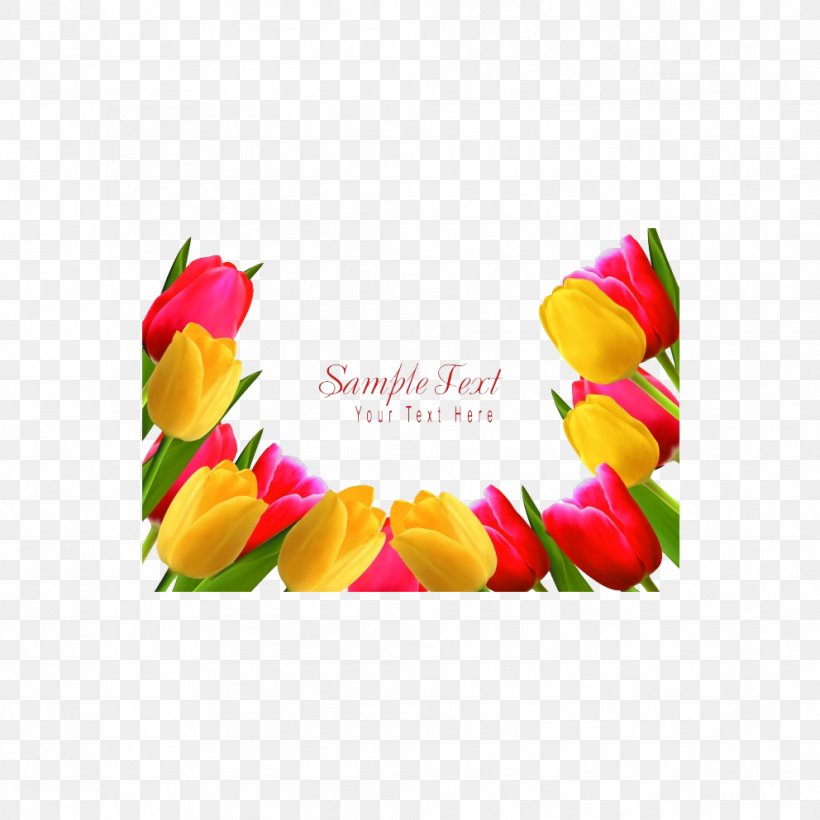 Indira Gandhi Memorial Tulip Garden Flower Stock Photography, PNG, 992x992px, Indira Gandhi Memorial Tulip Garden, Color, Floral Design, Floristry, Flower Download Free