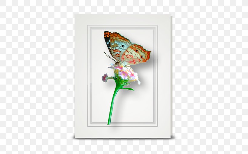 Butterfly Insect Pollinator Morpho Moth, PNG, 510x510px, Butterfly, Aglais Io, Animal, Butterflies And Moths, Flower Download Free