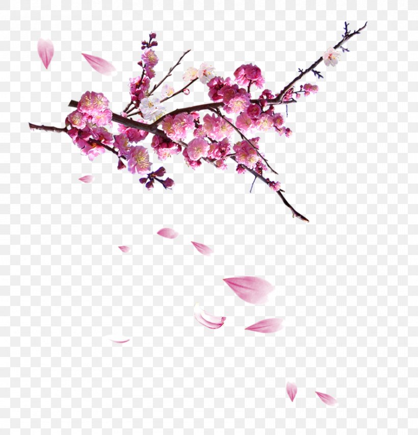 Chinoiserie Poster Fundal, PNG, 884x920px, Chinoiserie, Architecture, Blossom, Branch, Cherry Blossom Download Free