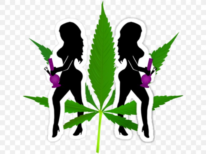 Ganja Girls LLC Cannabis Hemp Bong Head Shop, PNG, 2024x1518px, Cannabis, Blog, Blunt, Bong, Fictional Character Download Free