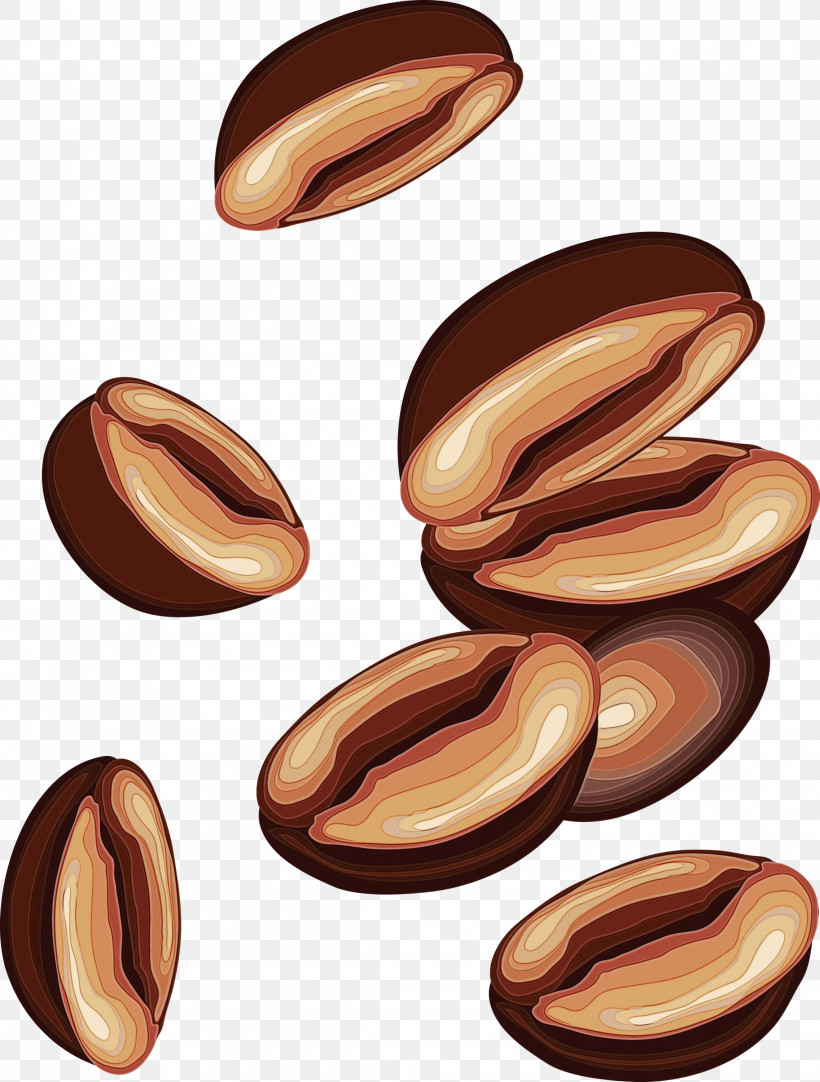 Nut Food Nuts & Seeds Plant Wood, PNG, 2273x3000px, Coffee Beans, Almond, Coffee Bean, Food, Nut Download Free