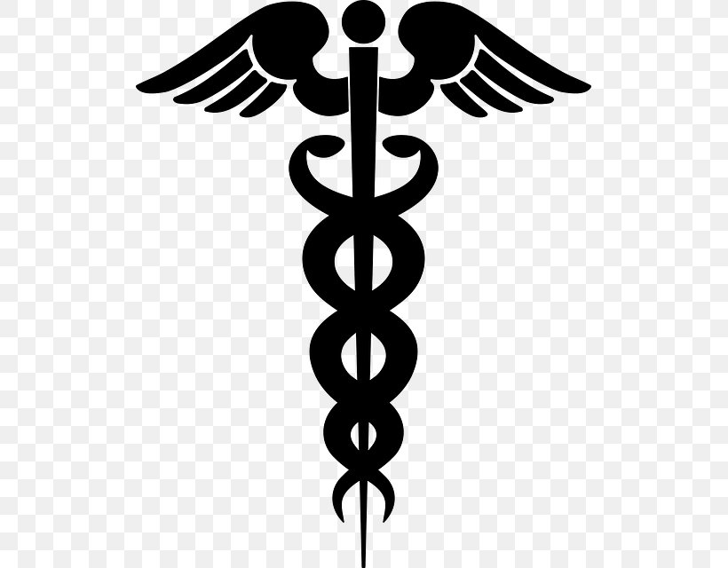 Staff Of Hermes Vector Graphics Caduceus As A Symbol Of Medicine Clip Art Image, PNG, 513x640px, Staff Of Hermes, Caduceus As A Symbol Of Medicine, Cross, Drawing, Logo Download Free