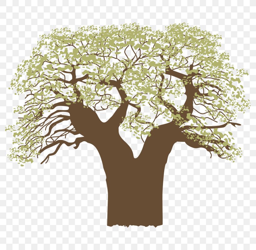 Tree Download, PNG, 800x800px, Tree, Branch, Computer Graphics, Cover Art, Grass Download Free