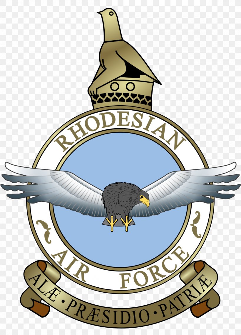 Air Force Of Zimbabwe Rhodesian Air Force Zimbabwe Defence Forces, PNG, 1200x1667px, Zimbabwe, Air Force, Air Force Of Zimbabwe, Air Force One, Badge Download Free