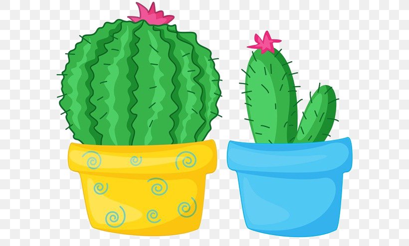 Cactaceae Drawing Illustration, PNG, 600x494px, Cactaceae, Cactus, Caryophyllales, Digital Image, Drawing Download Free