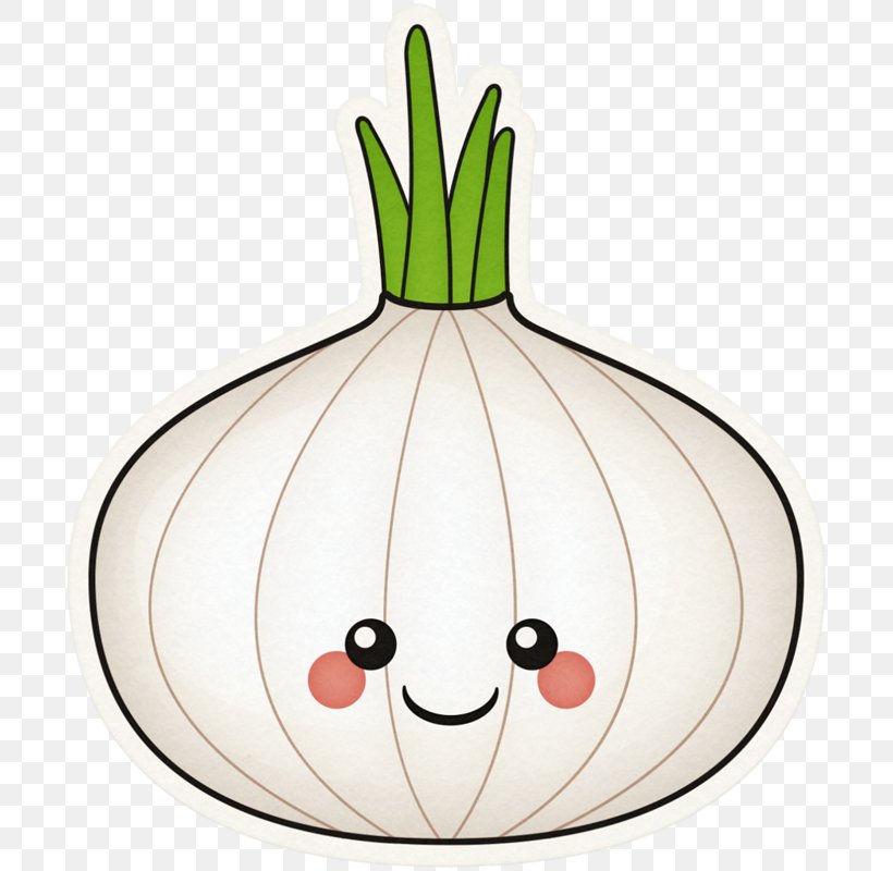 Clip Art Vegetable Openclipart Onion Illustration, PNG, 702x800px, Vegetable, Cucurbita, Flower, Flowering Plant, Food Download Free