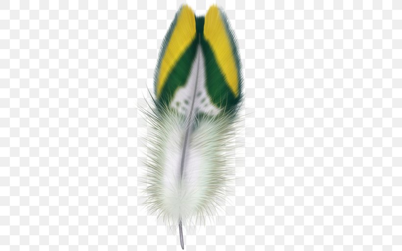 Feather Bird Clip Art, PNG, 512x512px, Feather, Bird, Close Up, Eagle Feather Law, Flight Feather Download Free