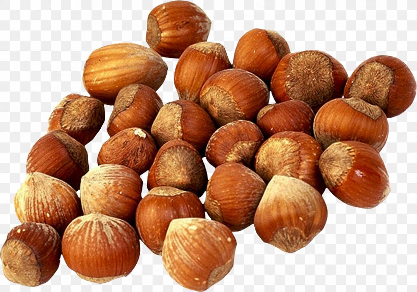 Hazelnut Tree Nut Allergy Chestnut Food, PNG, 1938x1358px, Hazelnut, Auglis, Chestnut, Common Hazel, Definition Download Free