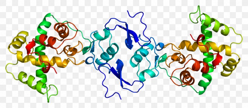 Osteonectin Glycoprotein Bone Collagen, PNG, 1178x513px, Protein, Basement Membrane, Bone, Bone Mineral, Bone Morphogenetic Protein Download Free