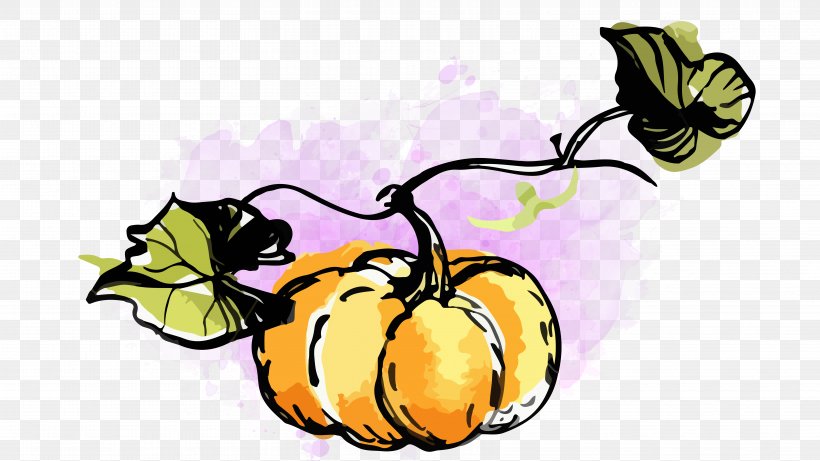 Pumpkin Butterfly Watercolor Painting Cucurbita Clip Art, PNG, 6667x3750px, Pumpkin, Artwork, Autumn, Brush Footed Butterfly, Butterfly Download Free