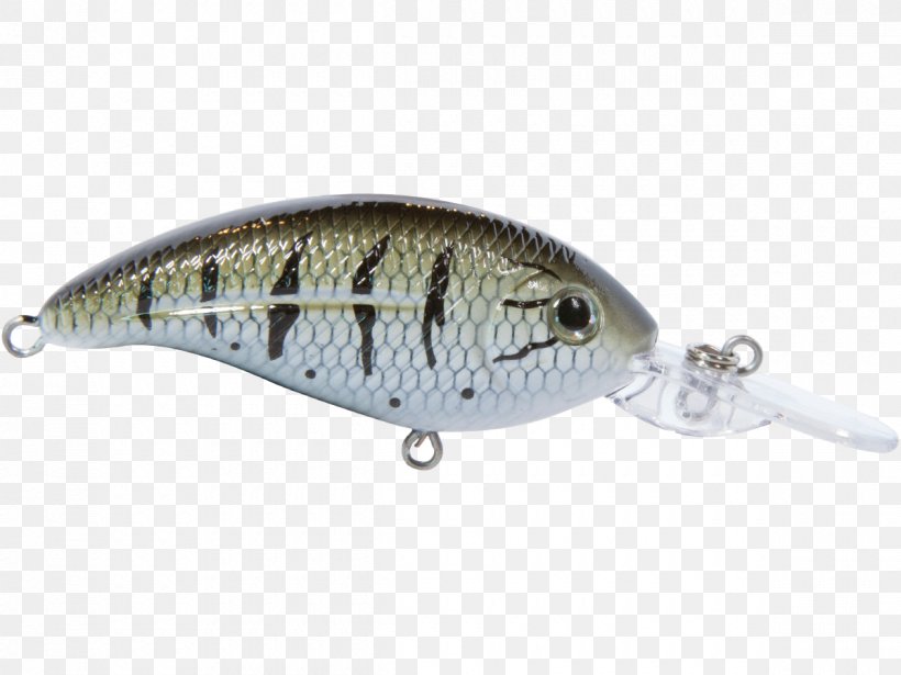 Spoon Lure Fish .cf, PNG, 1200x900px, Spoon Lure, Bait, Fish, Fishing Bait, Fishing Lure Download Free
