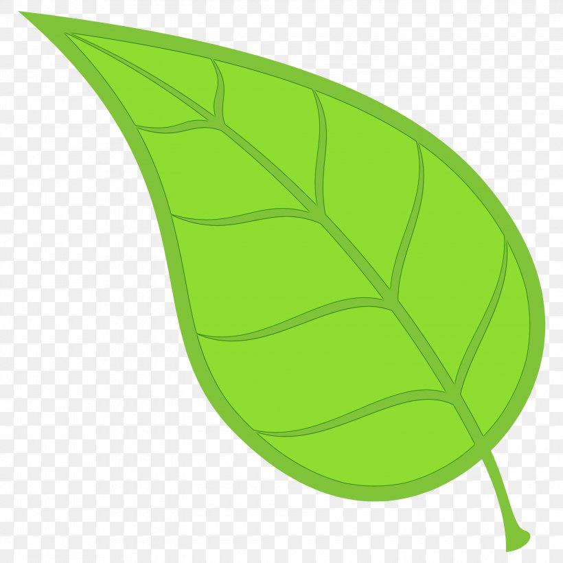 Banana Leaf, PNG, 3000x3000px, Leaf, Banana Leaf, Green, Plant, Plant Stem Download Free