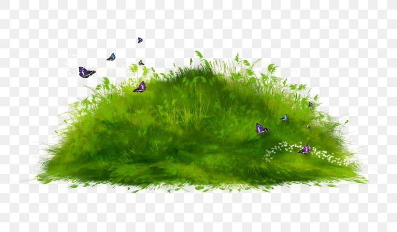 Desktop Wallpaper Clip Art, PNG, 800x480px, Lawn, Albom, Computer, Ecosystem, Grass Download Free