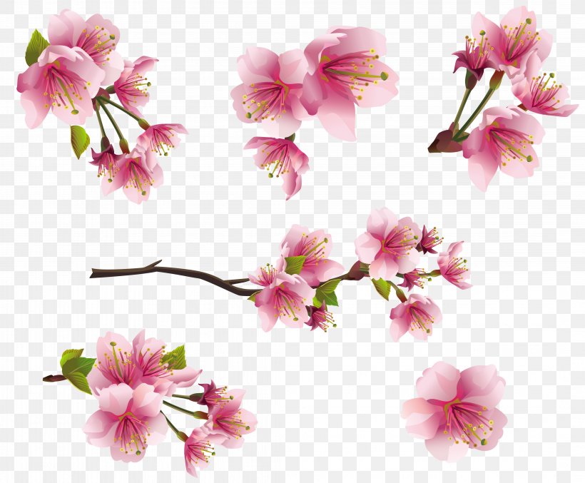 Flower Blossom Pink Clip Art, PNG, 4274x3532px, Flower, Almond, Blossom, Branch, Cherry Blossom Download Free