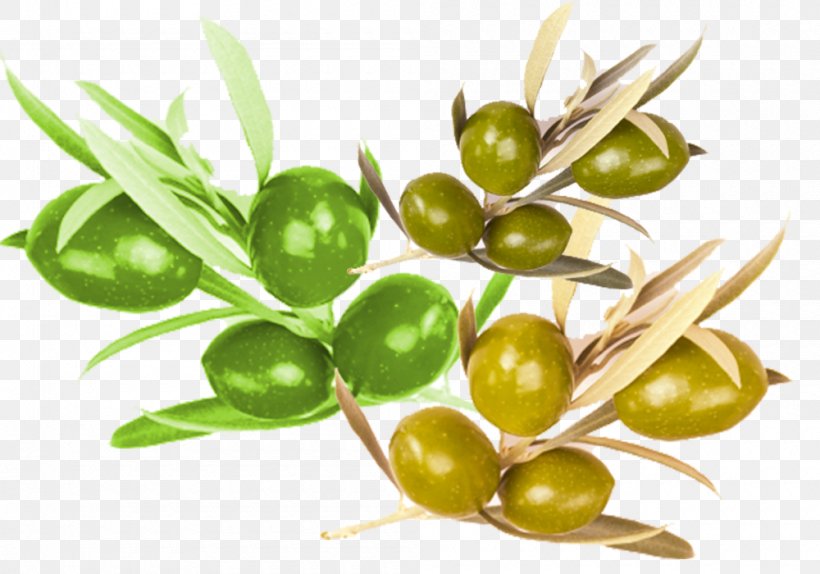 Olive Food Nutrition, PNG, 1000x700px, Olive, Food, Fruit, Gift, Gratis Download Free