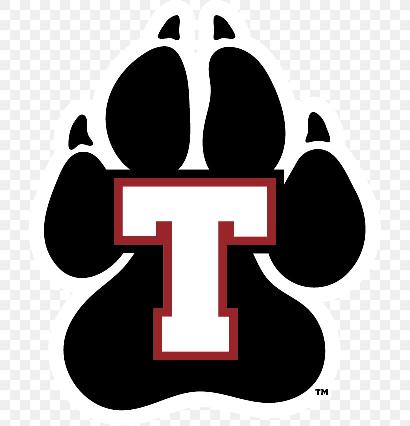 Thomas College Terriers Men's Basketball Thomas College Terriers Women's Basketball College Athletics, PNG, 704x852px, Thomas College, Area, Artwork, Athletics, Basketball Download Free
