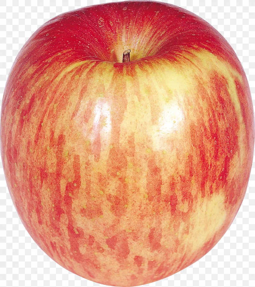 Apple Clip Art, PNG, 1633x1838px, Apple, Computer Software, Food, Fruit, Gratis Download Free