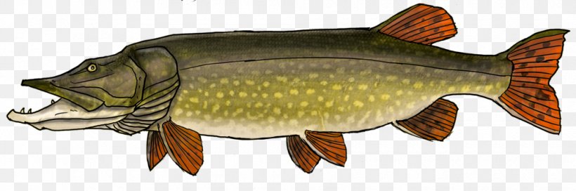 Northern Pike Carp Perch Recreational Fishing, PNG, 1030x342px, Northern Pike, Animal Figure, Bony Fish, Carp, Common Rudd Download Free