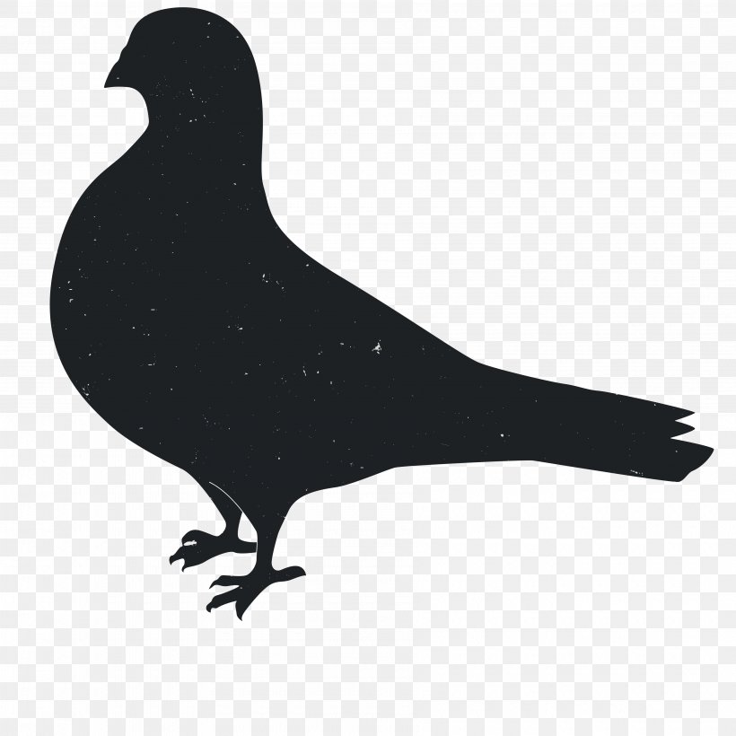 Silhouette Animal Columbidae, PNG, 3600x3600px, Silhouette, Animal, Beak, Bird, Black Download Free