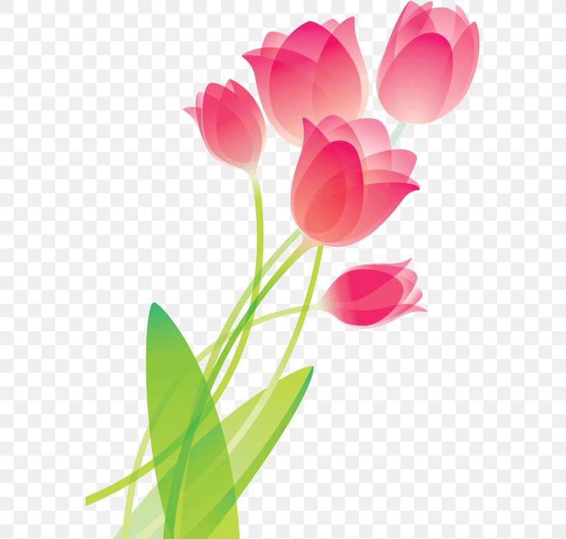 Tulip Drawing Flower Clip Art, PNG, 571x781px, Tulip, Cut Flowers, Drawing, Floral Design, Floristry Download Free