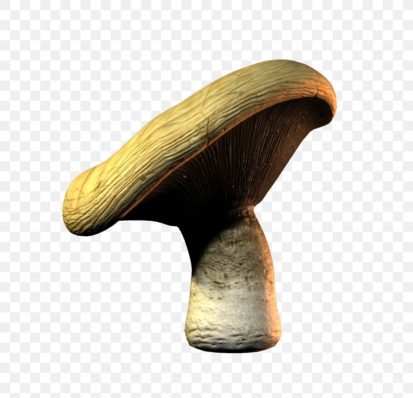Edible Mushroom Pleurotus Eryngii File Format, PNG, 800x790px, Mushroom, Art, Drawing, Edible Mushroom, Fungus Download Free