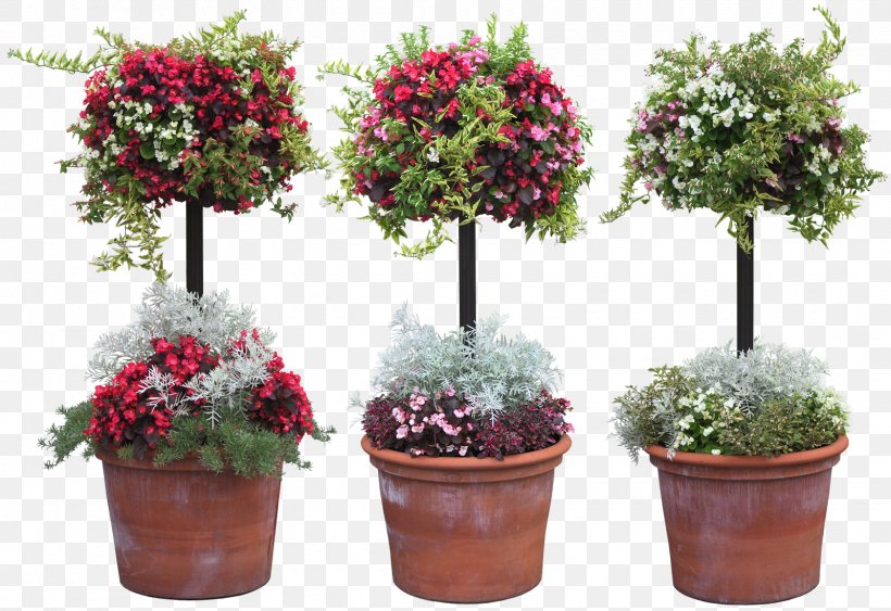Grow Light Plant Garden Full-spectrum Light, PNG, 1600x1100px, Grow Light, Annual Plant, Bonsai, Cut Flowers, Evergreen Download Free
