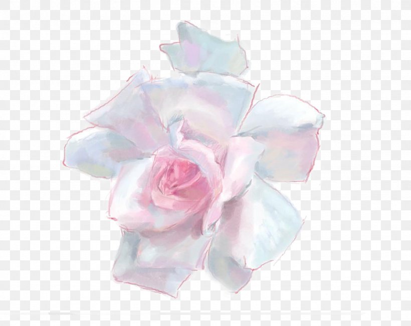 Rosa Chinensis Garden Roses Centifolia Roses Pink, PNG, 1024x814px, Rosa Chinensis, Centifolia Roses, Cut Flowers, Floral Design, Flower Download Free