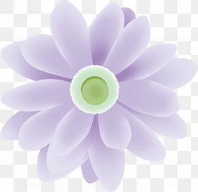Easter Flower Spring Flower PNG