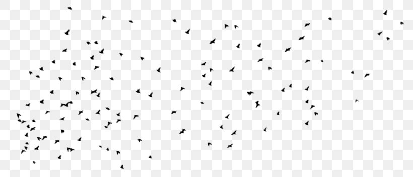 Line Point Animal Migration White Font, PNG, 810x353px, Point, Animal Migration, Black And White, Flock, Human Migration Download Free