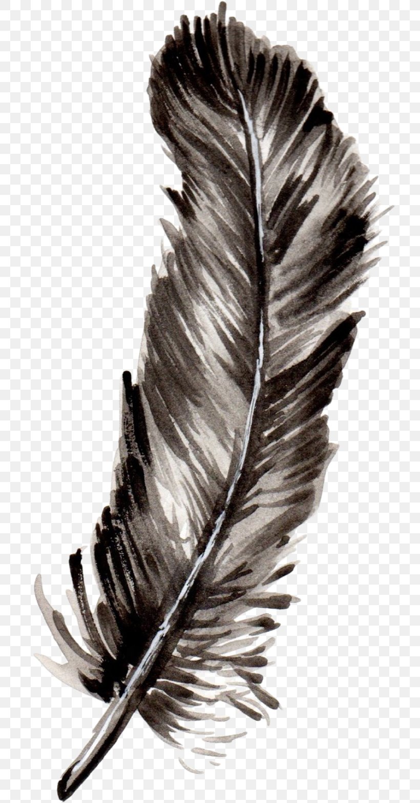 Feather Bird Watercolor Painting Clip Art, PNG, 726x1566px, Feather, Bird, Black And White, Color, Hair Download Free
