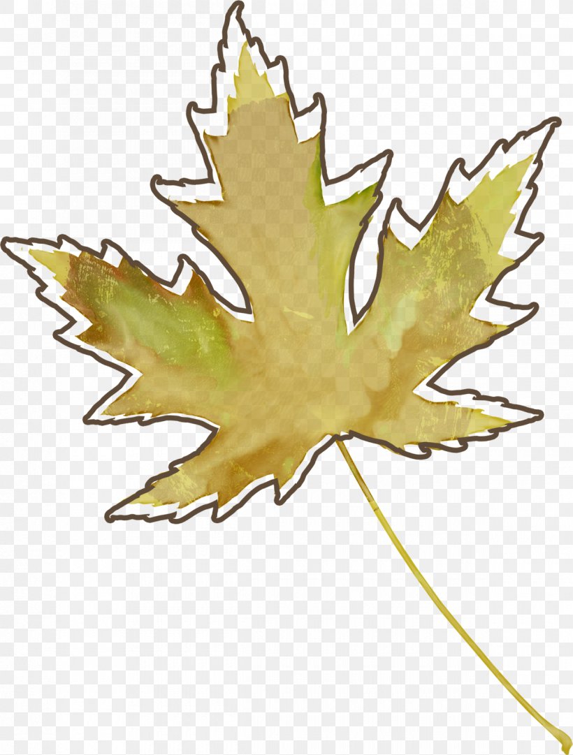 Maple Leaf Autumn Leaves Plant Stem, PNG, 1200x1583px, Maple Leaf, Autumn Leaves, Branch, Flowering Plant, Leaf Download Free