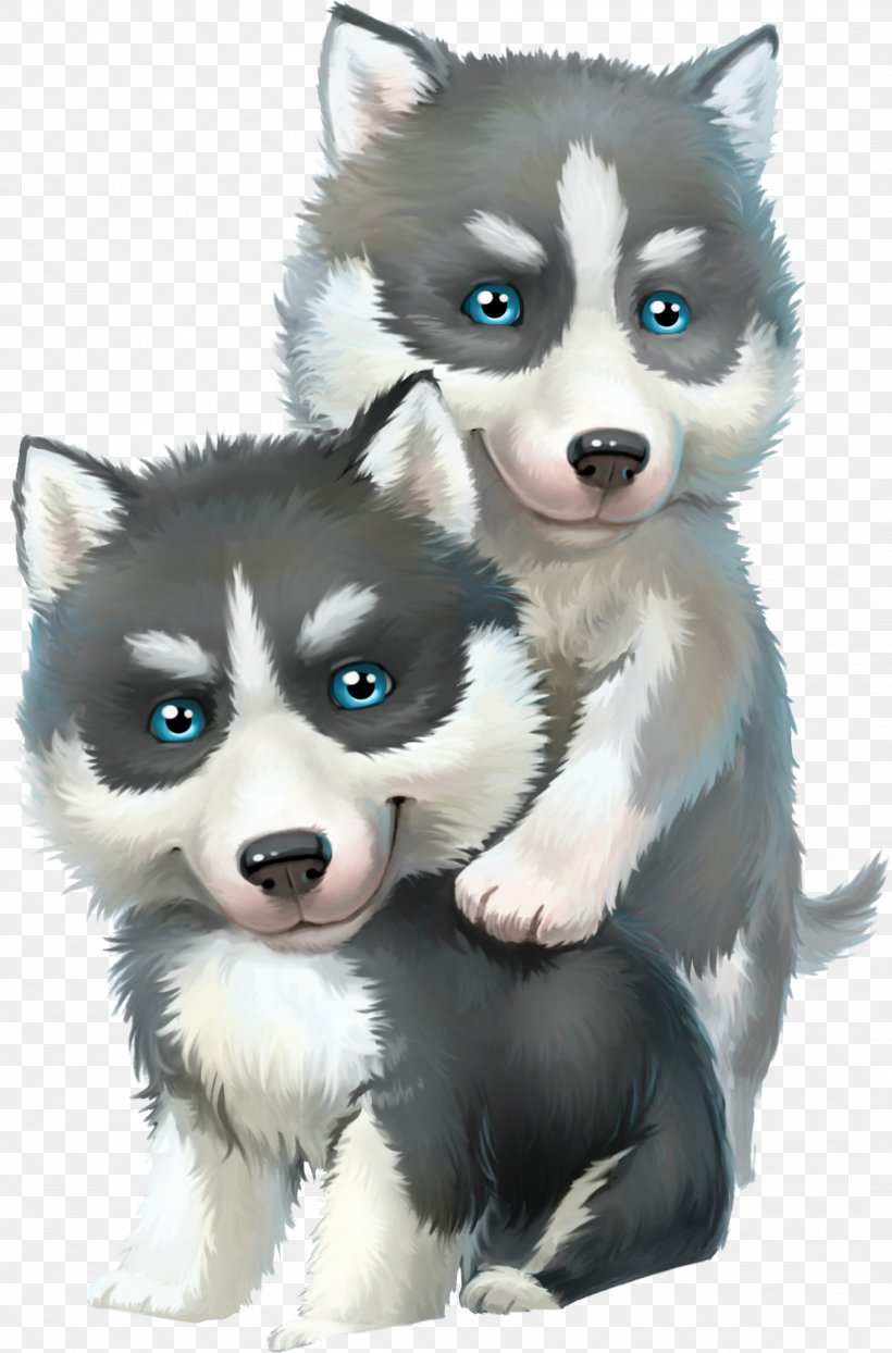 Alaskan Malamute Siberian Husky Sled Dog, PNG, 2115x3211px, Alaskan Malamute, Alaskan Klee Kai, Canadian Eskimo Dog, Carnivoran, Child Download Free