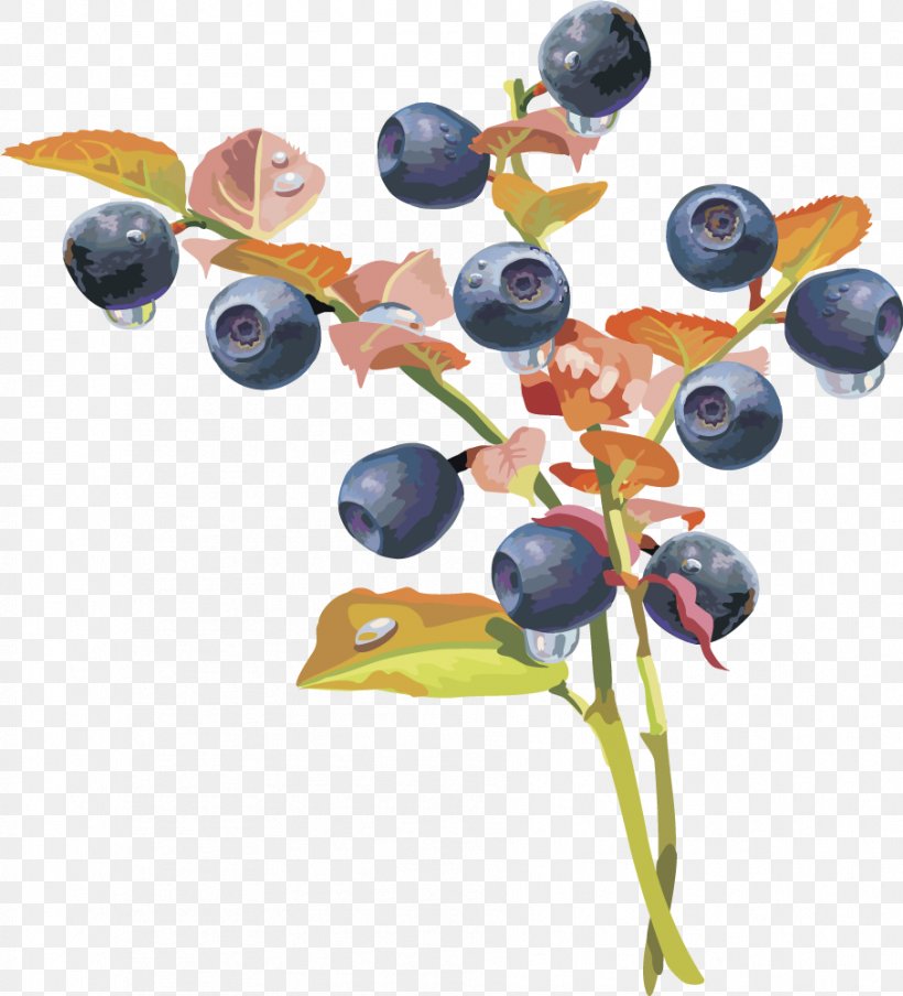 Blueberry Fruit Auglis, PNG, 907x1000px, Berry, Auglis, Blueberry, Cherry, European Blueberry Download Free