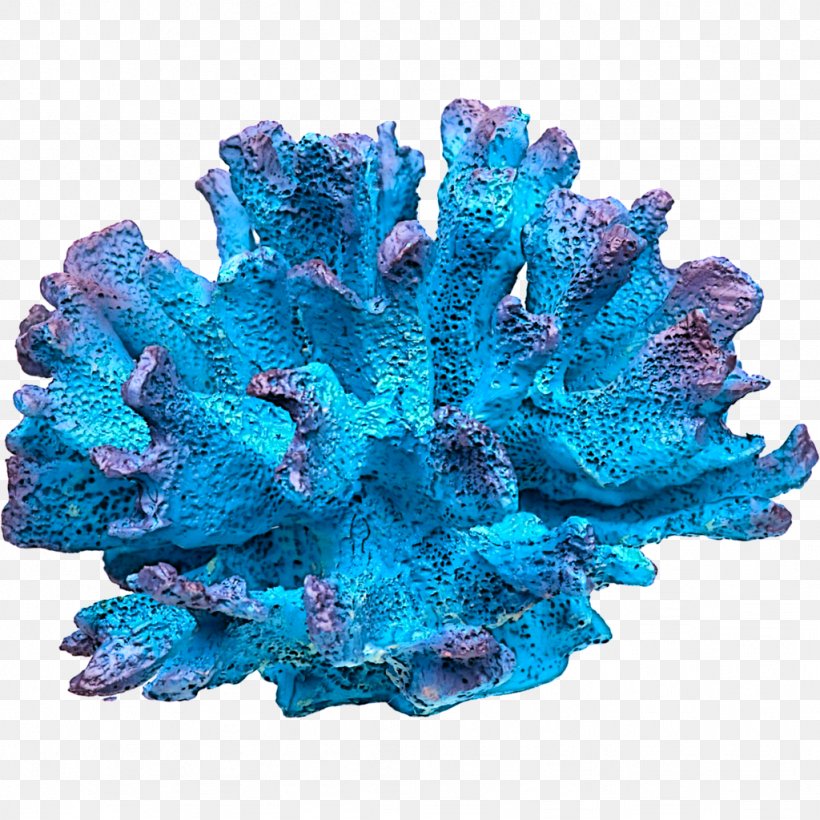 Coral Reef Invertebrate Marine Biology DeviantArt, PNG, 1024x1024px, Coral Reef, Aqua, Cnidaria, Cobalt Blue, Coral Download Free